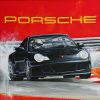 Porsche 996 painting by Merry Sparks