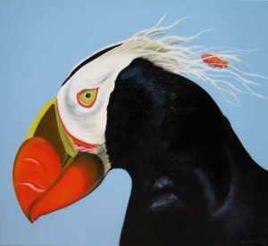 Scrutiny puffin bird by Merry Sparks