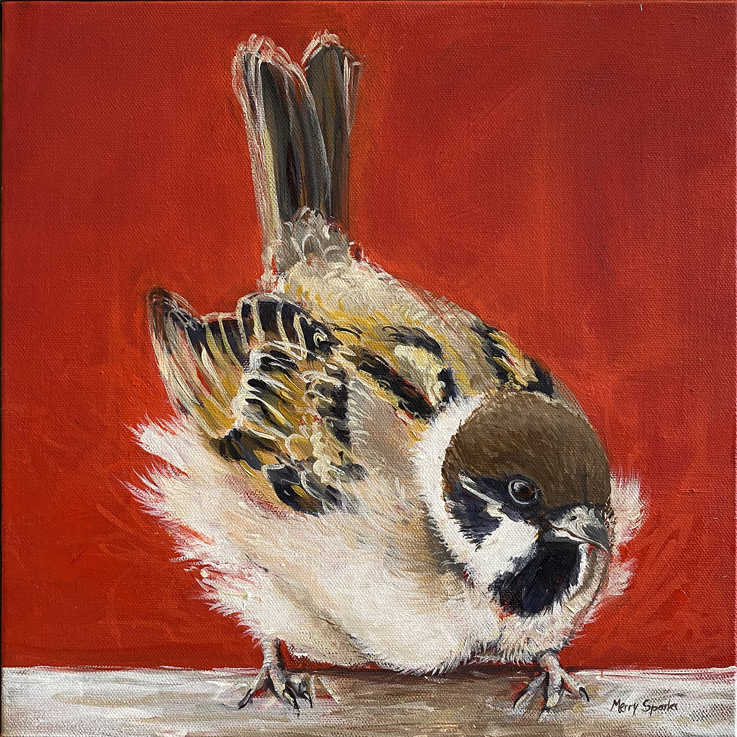 House Sparrow by Merry Sparks